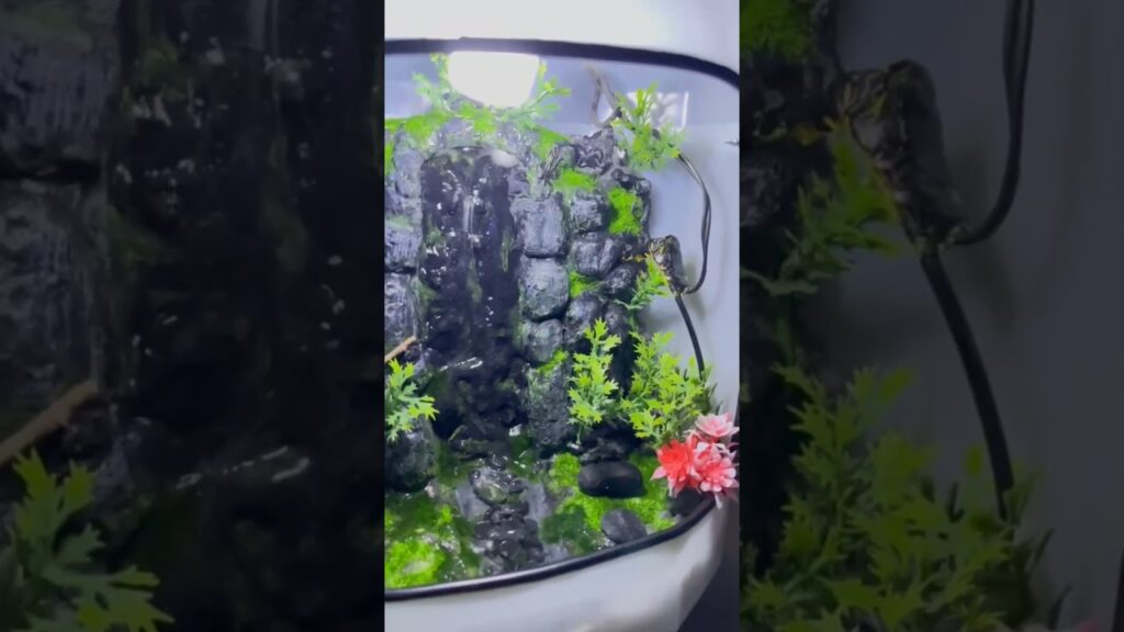 waterfall-art-creative-shorts