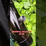 #waterfall#kolamikan#ikamhias#koi#maskoki#pecintaikanhias#fishlover#fishhobby#fishtank#hobbyikan