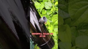 waterfallkolamikanikamhiaskoimaskokipecintaikanhiasfishloverfishhobbyfishtankhobbyikan