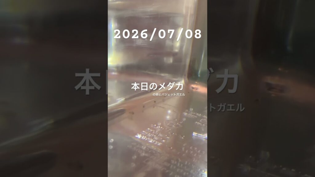 20260708-