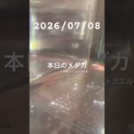 2026/07/08 #めだか #アクアリウム #癒し #めだかのいる生活 #アクアリウム初心者 #バジェットガエル