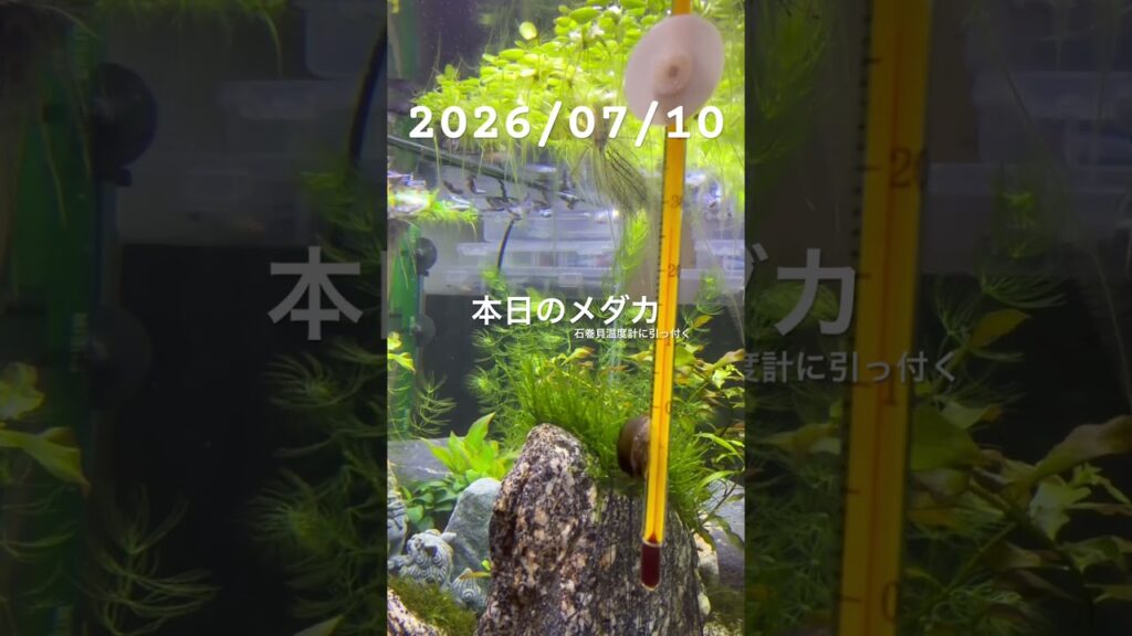 20260710-