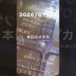 2026/07/11 #癒し #めだか #めだかのいる生活 #アクアリウム #アクアリウム初心者 #針子