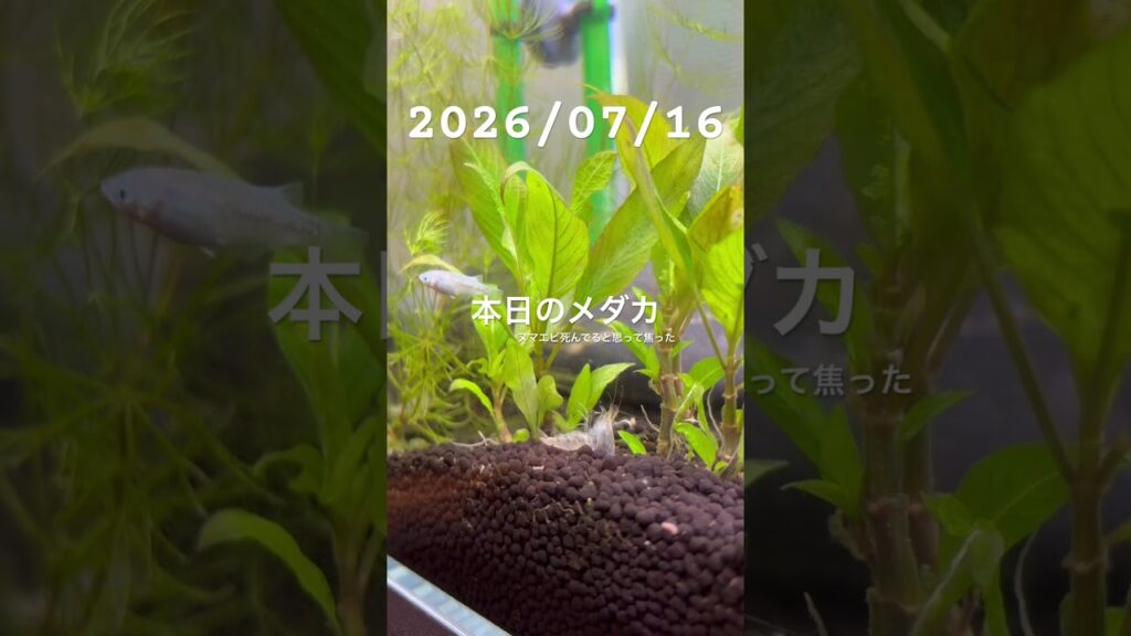 20260716-