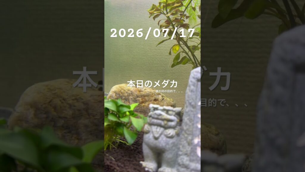 20260717-
