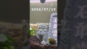 20260719-