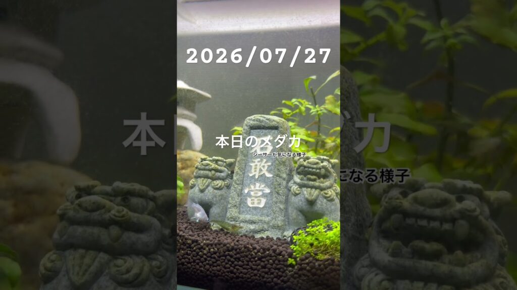 20260727-