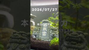 20260727-
