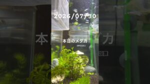 20260730-