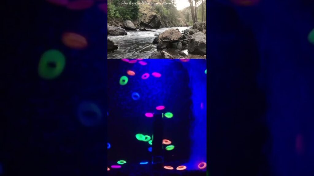 247-on-Twitch-and-Youtube.-relax-satisfying-nature