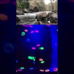 24/7 on Twitch and Youtube. #relax #satisfying #nature