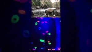 247-on-Twitch-and-Youtube.-relax-satisfying-nature