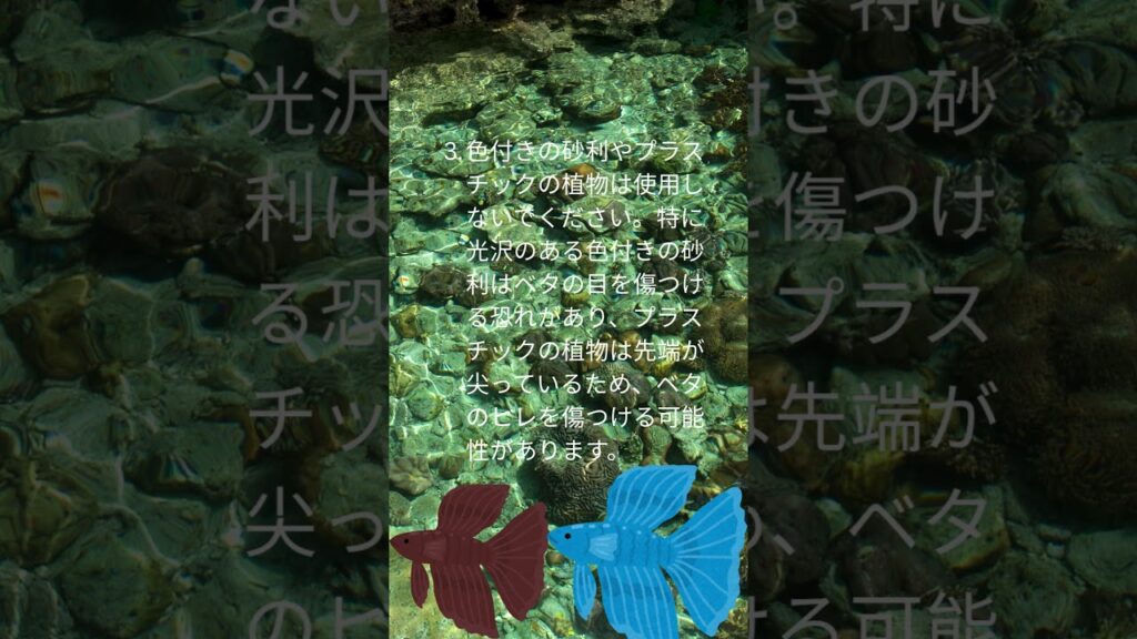 3-FALKINSE-aquarium-fish-myth
