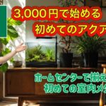 3000円ではじめる、ホムセン商品で作る室内メダカ水槽