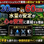 エビ飼育は水槽サイズで決まる！30cmと60cmの決定的な違いと長期安定の正体【レッドビーシュリンプ水槽】初心者ほど大型水槽を選ぶべき理由を解説）