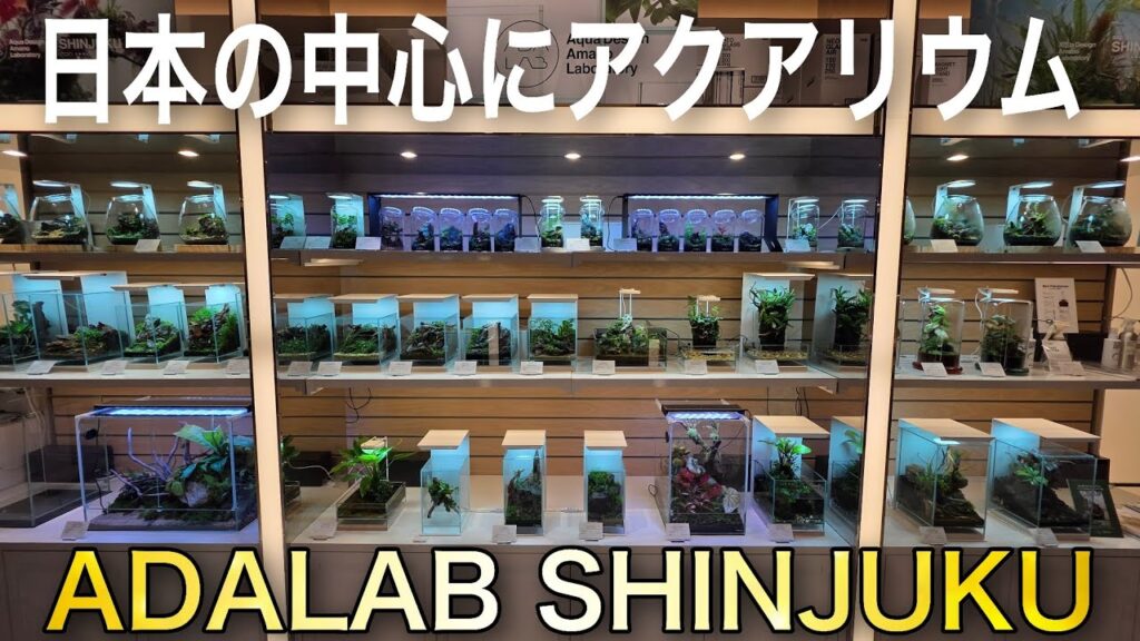 ADA-Lab-SHINJUKUaquarium