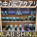 【期間限定】ADA Lab SHINJUKUが凄すぎた‼　aquarium　アクアリウム　熱帯植物　レイアウト　熱帯魚　水草　流木　メダカ　パルダリウム