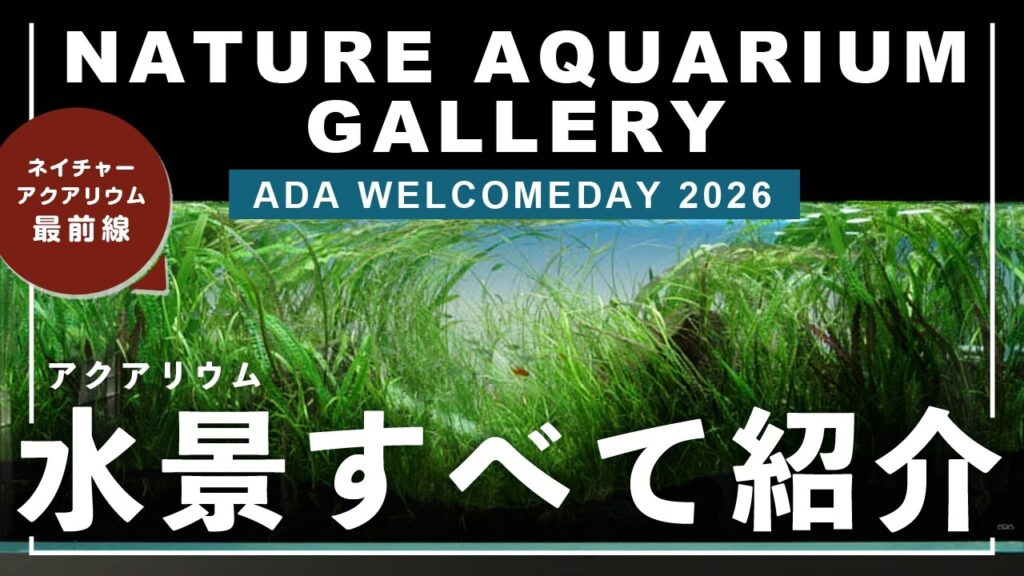 ADA2026NATURE-AQUARIUM-GALLERY-WelcomeDAY-2026