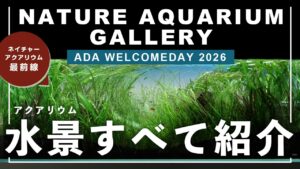 ADA2026NATURE-AQUARIUM-GALLERY-WelcomeDAY-2026