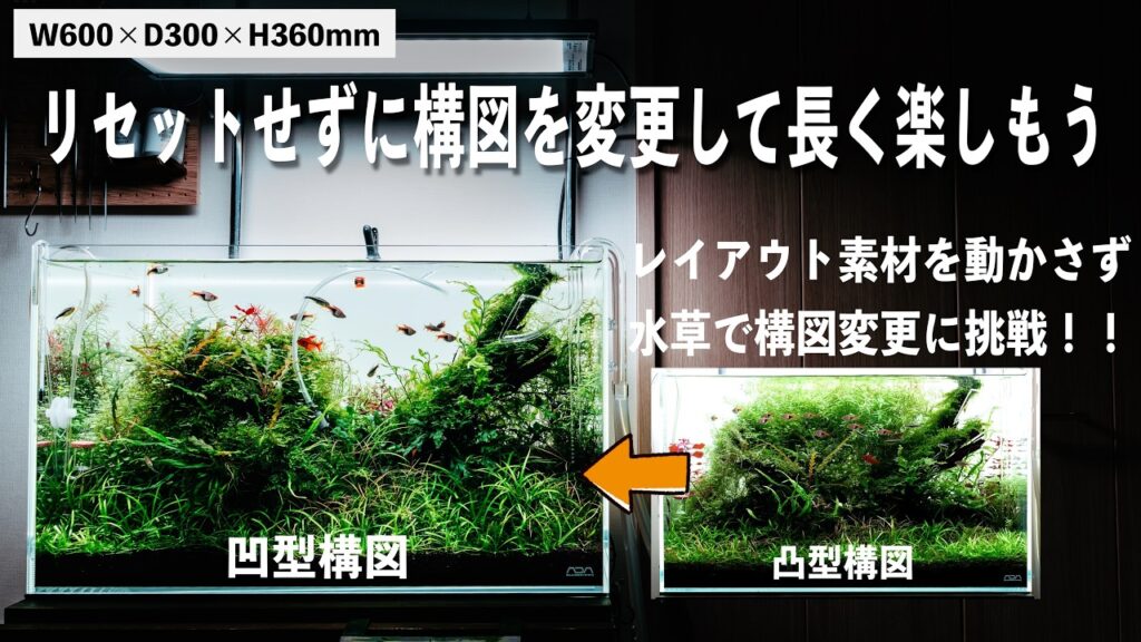 ADA60cmaquarium-ada-
