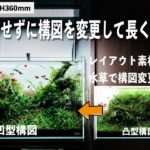 【ｱｸｱﾘｳﾑ/水草水槽】レイアウト素材はそのまま。水草だけで構図変更に挑戦/ADA60cm水槽#aquarium #ネイチャーアクアリウム #熱帯魚 #ada #アクアリウム