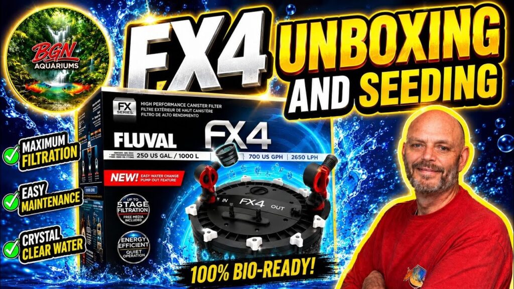 Fluval-FX4-Unboxing-And-Seeding-Review-Rainbowfish-Bonsai-Falls-Aquarium