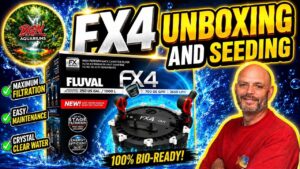 Fluval-FX4-Unboxing-And-Seeding-Review-Rainbowfish-Bonsai-Falls-Aquarium