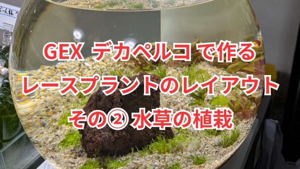 GEX-