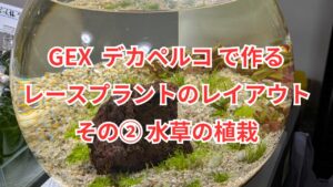 GEX-