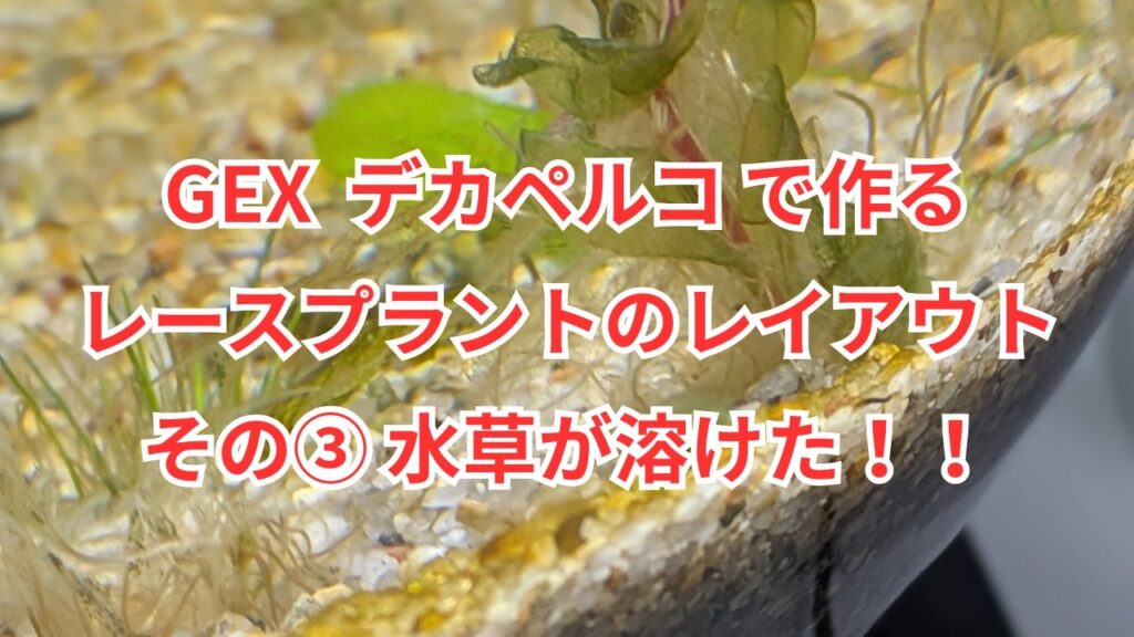 GEX-1-1