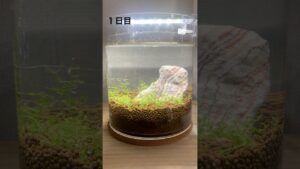 aquarium-