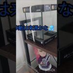 【nanaベタちゃん設置完了】並びのレイアウト変えました。全員を美しく眺めたい。この欲望を全て解決するにはこれしかない❣️