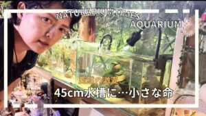 naturariumtimes-