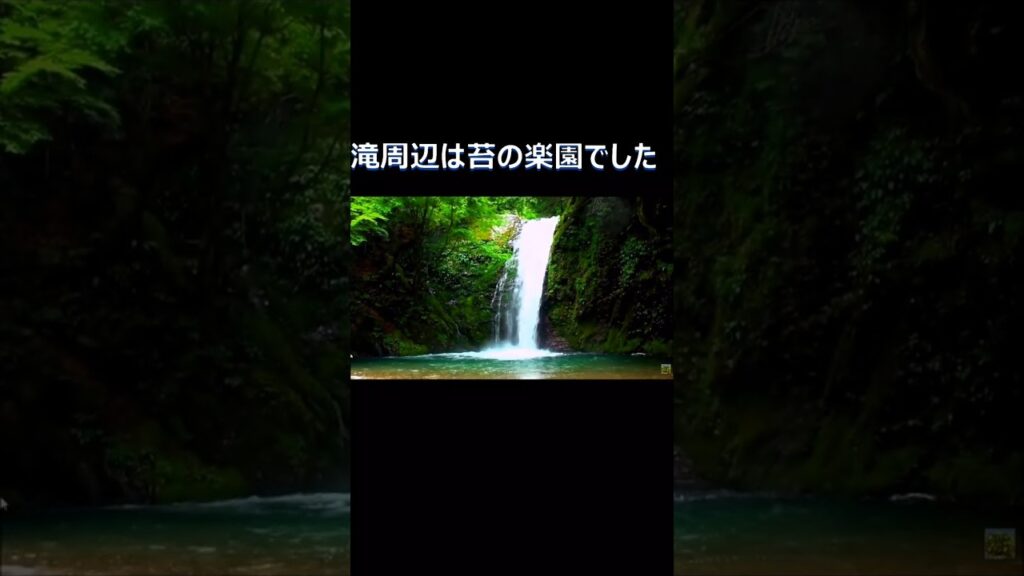 unnamed-file-11