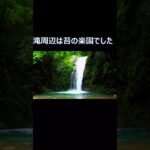 滝周辺は苔の楽園でした  #苔テラリウム  #苔