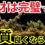 理想の水槽にならないのは、ここを勘違いしてるかもしれません