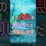 その金魚の飼い方、かなり危険です #アクアリウム #金魚 #混泳