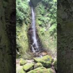 水草レイアウトのヒントは、自然の中にあった。
