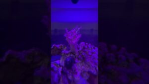 unnamed-file-25