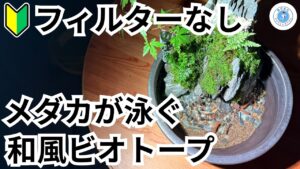 unnamed-file-26
