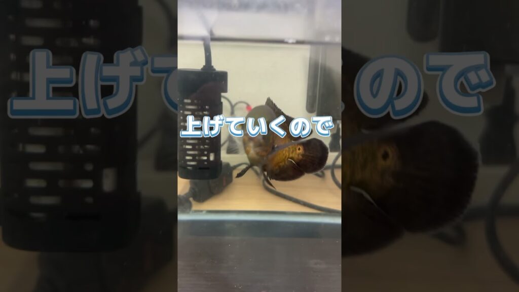 unnamed-file-3