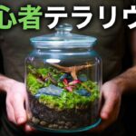 ただのガラス容器が小さな森に大変身 | ミニアクアリウム物語