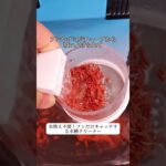 初心者でも簡単！#気举式吸便器 #水槽クリーナー  #初心者アクアリウム