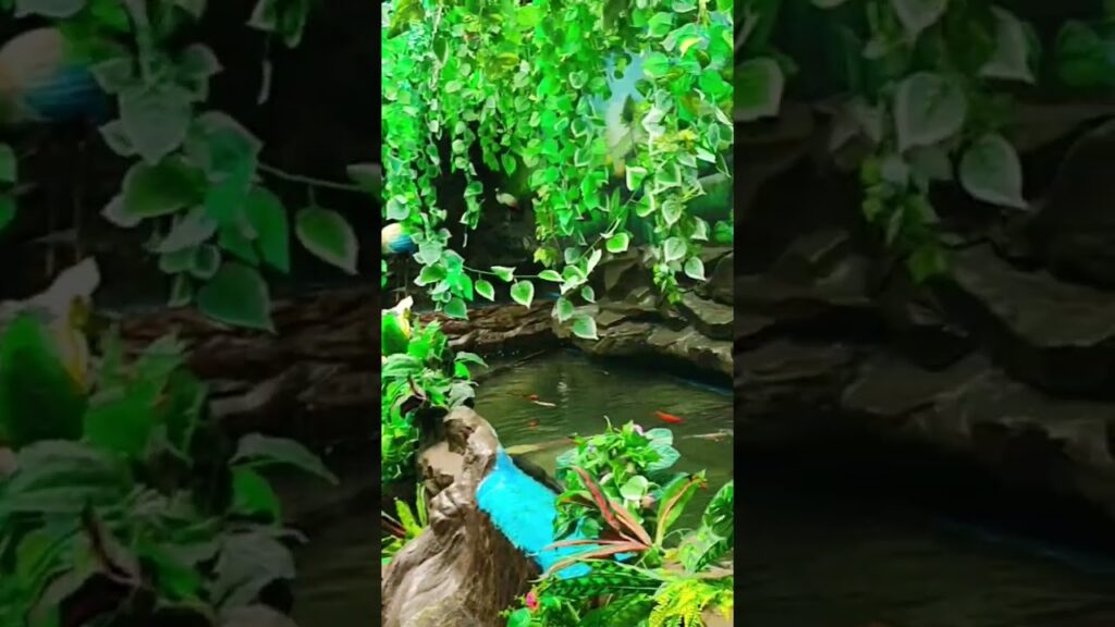 weekend-aquarium-waterfall