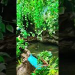 #weekend # #aquarium #waterfall