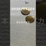 2026/08/04 #癒し #めだか #めだかのいる生活 #アクアリウム #アクアリウム初心者 #石巻貝