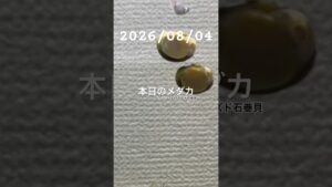 20260804-