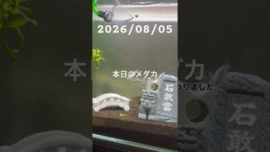 20260805-