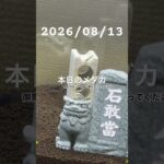 2026/08/13 #癒し #めだか #めだかのいる生活 #アクアリウム #アクアリウム初心者 #ヌマエビ #御影ブロック
