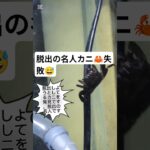 脱出しようとする。カニ🦀60cm 蟹水槽🦀 #アクアリウム #aquarium #水槽部屋 #レイアウト